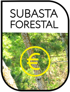 Logo Subasta forestal